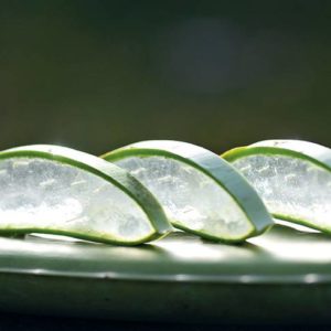 Aloe Frischpflanzenblatt