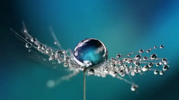 Primordial Sound Meditation